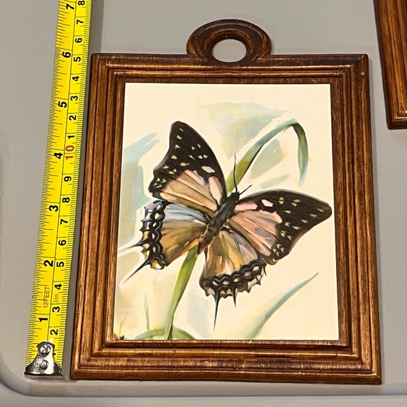 3 Charming Vintage Arthur A. Kaplan Butterflies on Wood prints - Picture 5 of 16